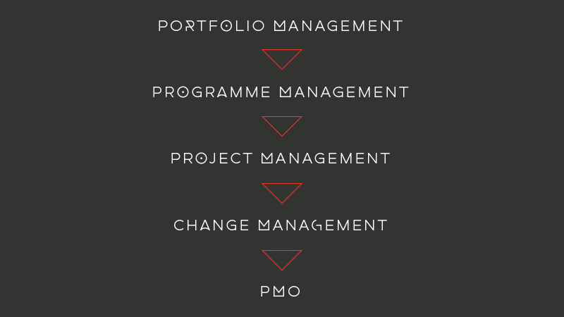 PPM-Graphic portfolio management, programme management, project management, change management, PMO
