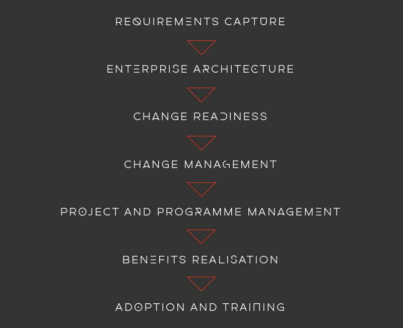 requirements capture, enterprise architecture, change readiness, change management, project programme management, benefits realisation, adoption and training