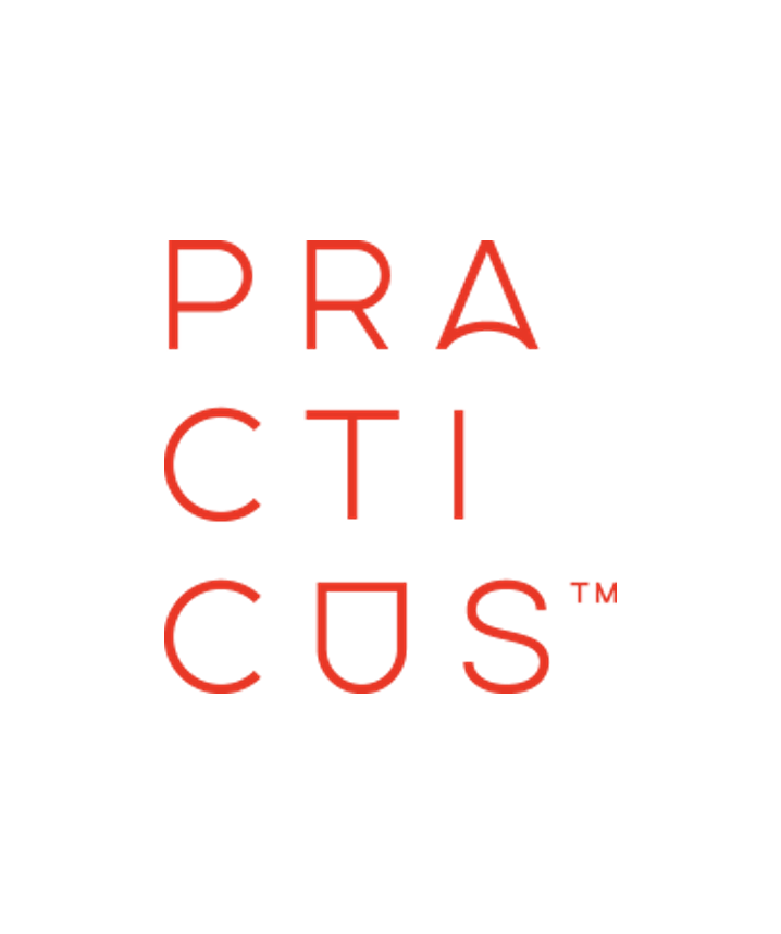 practicus mini logo