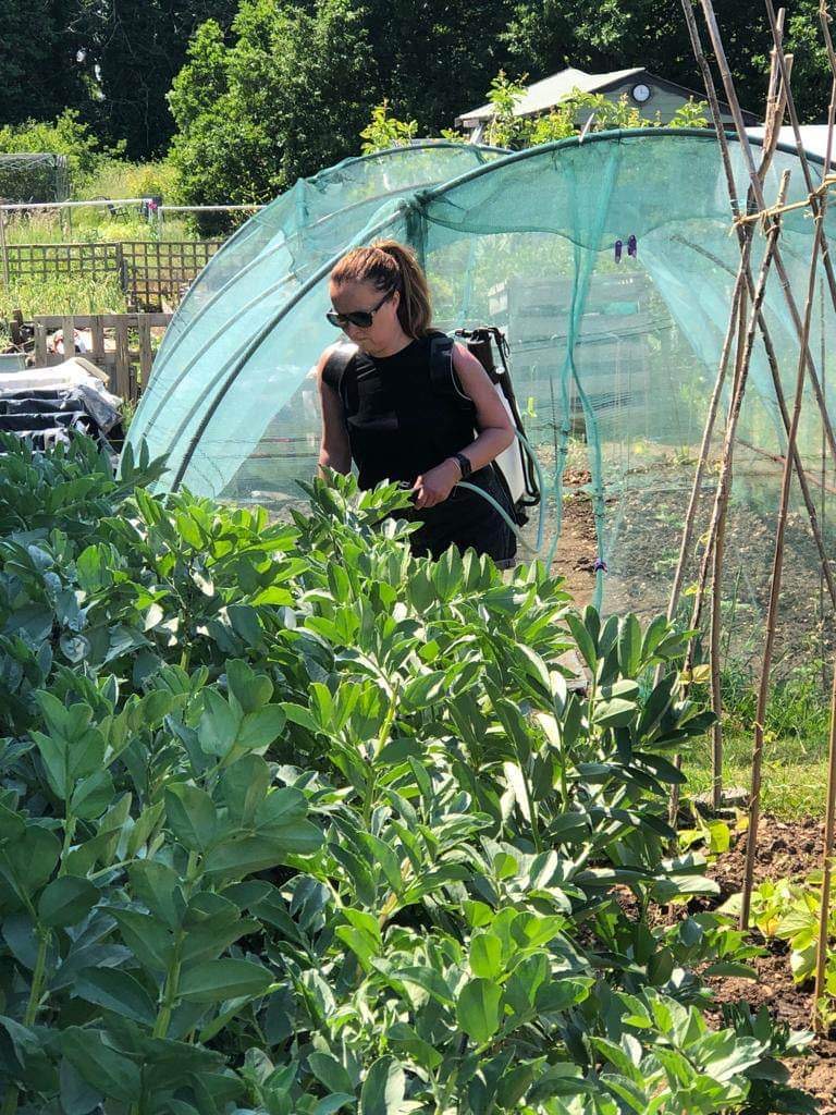 Practicus spraying in launchpad allotment