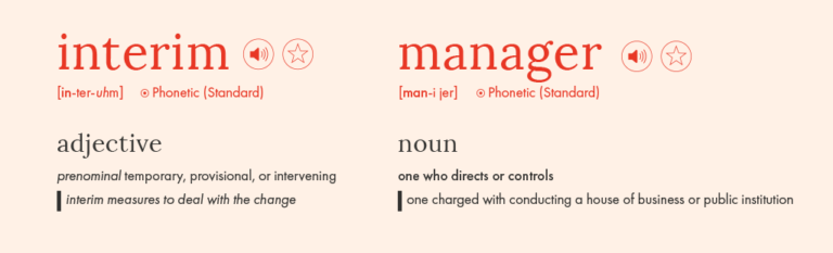 What Does Interim Manager Mean Practicus